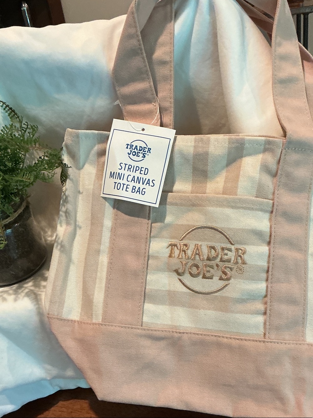 Trader Joe’s Striped Mini Canvas Tote Bag - Beige/Tan